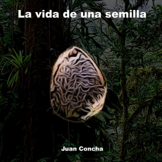 Könyv La vida de una semilla Juan E. Concha