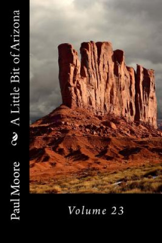 Könyv A Little Bit of Arizona: Volume 23 Paul B. Moore