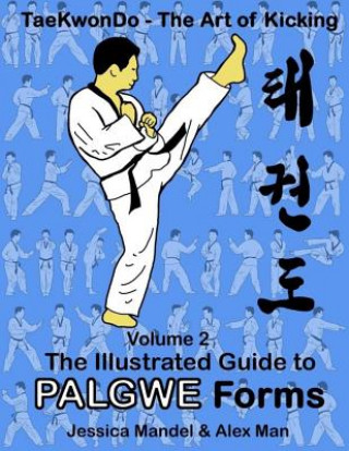 Buch Taekwondo the Art of Kicking. the Illustrated Guide to Palgwe Forms: The Illustrated Guide to Palgwe Forms Alex Man