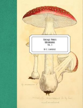 Książka Vintage Prints: Mushrooms: Vol. 3 E. Lawrence