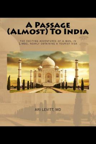 Buch A Passage (almost) To India: The Exciting Adventures of a Man, in Limbo, Nearly Obtaining a Tourist Visa Ari Levitt