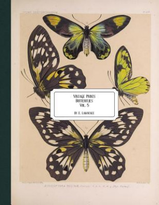 Könyv Vintage Prints: Butterflies: Vol. 5 E. Lawrence