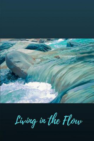 Boek Living in the Flow Nicole Marie Williams