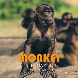 Kniha Monkey Calendar 2019: 16 Month Calendar Mason Landon