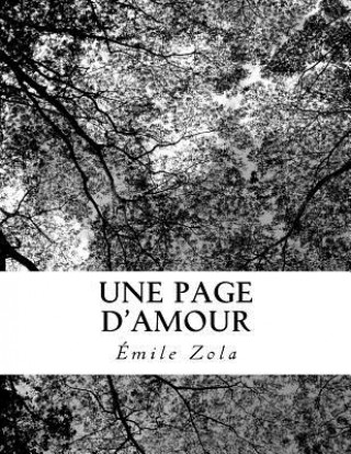 Book Une Page d'Amour Émile Zola