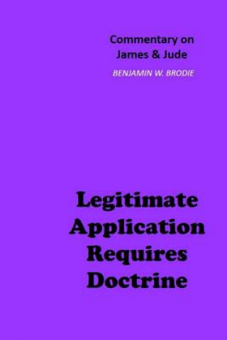 Kniha Legitimate Application Requires Doctrine: Commentary on James & Jude Benjamin W. Brodie