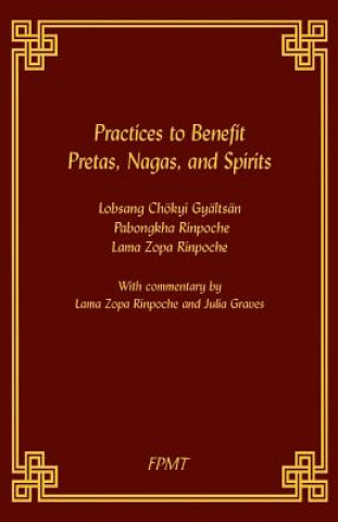 Kniha Practices to Benefit Pretas, Nagas and Spirits Fpmy