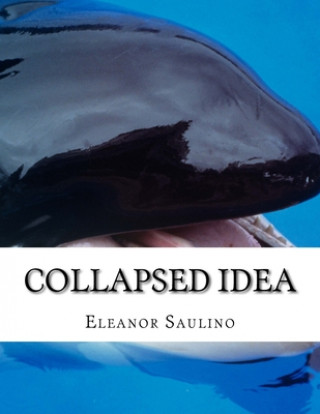Knjiga Collapsed idea Eleanor Saulino