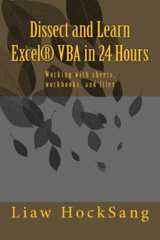 Kniha Dissect and Learn Excel(R) VBA in 24 Hours Liaw Hocksang