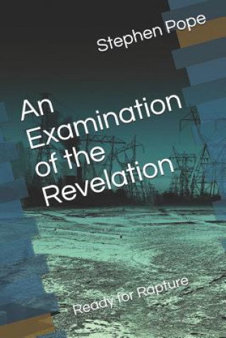 Kniha An Examination of the Revelation: Ready for Rapture Stephen B. Pope