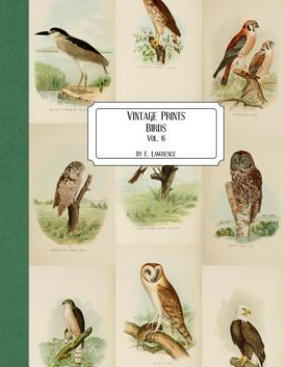 Kniha Vintage Prints: Birds: Vol. 6 E. Lawrence