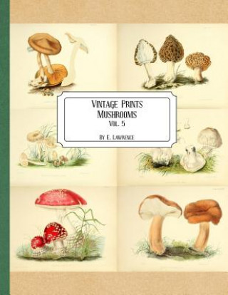 Libro Vintage Prints: Mushrooms: Vol. 5 E. Lawrence