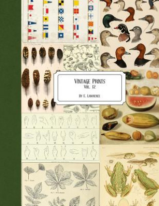 Carte Vintage Prints: Vol. 12 E. Lawrence