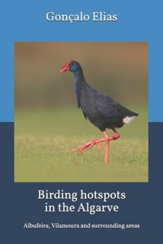 Kniha Birding hotspots in the Algarve: Albufeira, Vilamoura and surrounding areas Goncalo Elias