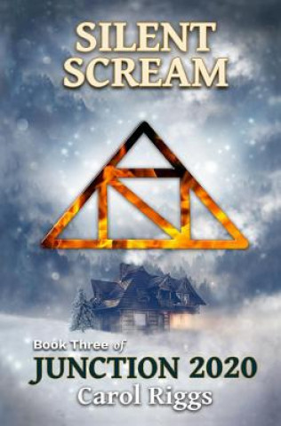 Libro Junction 2020: Book Three: Silent Scream Carol Riggs