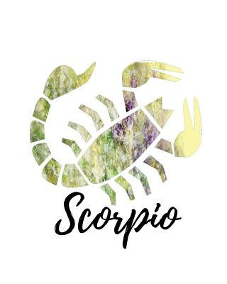 Knjiga Scorpio: Scorpio Cornell Notes My Astrology Journals