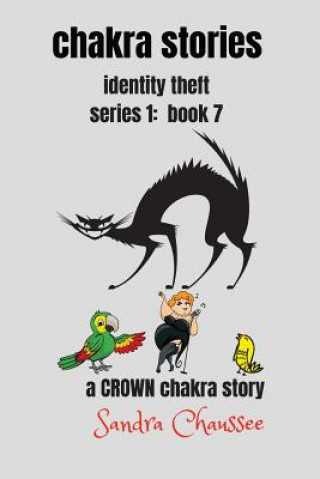 Książka chakra stories: identity theft - series 1: book 7 Sandra M. Chaussee