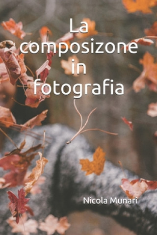 Kniha La composizione in fotografia Nicola Munari