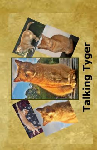 Book Talking Tyger Ian Tog Jenkins