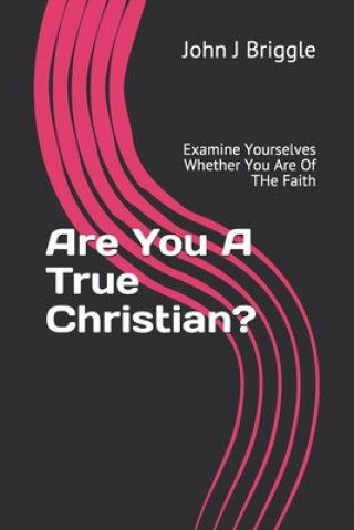 Kniha Are You A True Christian?: Examine Yourselves Whether You Are Of The Faith John J. Briggle