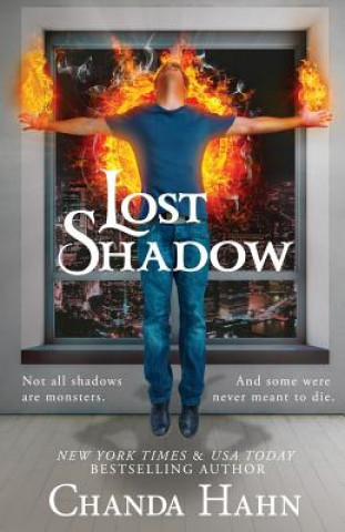 Libro Lost Shadow Chanda Hahn