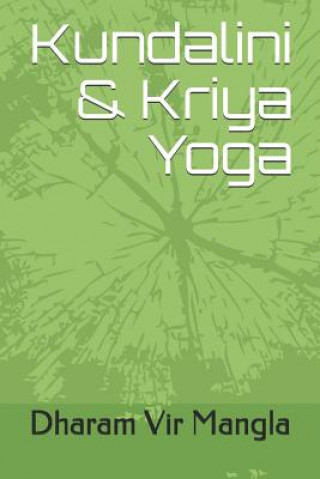 Könyv Kundalini & Kriya Yoga Raju Gupta
