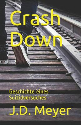 Könyv Crash Down: Geschichte Eines Suizidversuches J. D. Meyer