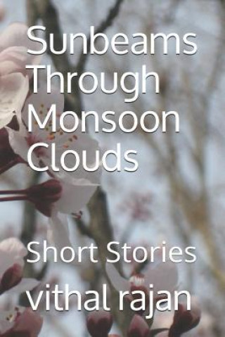 Boek Sunbeams Through Monsoon Clouds: Short Stories Vithal Rajan