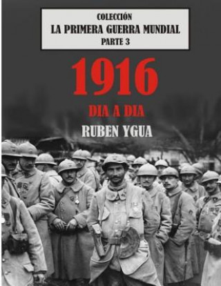 Kniha 1916 Dia a Dia: Colección La Primera Guerra Mundial Ruben Ygua