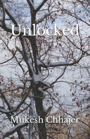Knjiga Unlocked Mukesh Chhajer