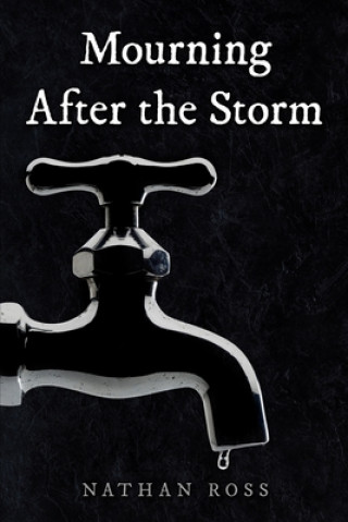 Buch Mourning After the Storm Nathan Ross