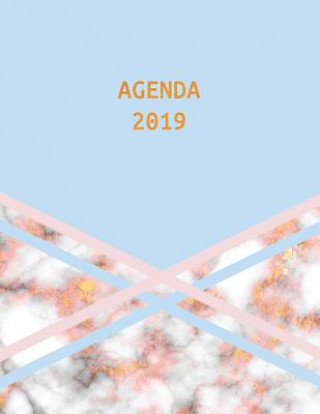 Kniha Agenda 2019: Élégant Et Pratique - Marbre or Rose Bleu - Agenda Organiseur Pour Ton Quotidien - 52 Semaines - Janvier ? Décembre 20 Parbleu Carnets de Notes