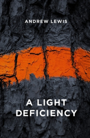 Knjiga A Light Deficiency Andrew Lewis