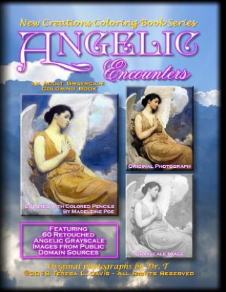 Carte New Creations Coloring Book Series: Angelic Encounters Teresa Davis