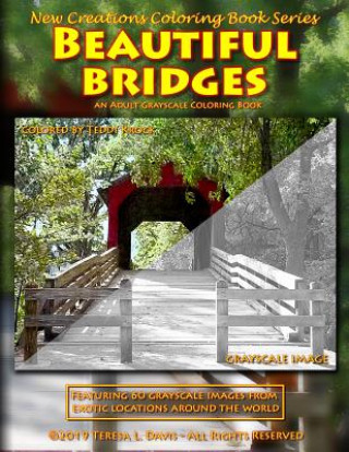 Buch New Creations Coloring Book Series: Beautiful Bridges Brad Davis