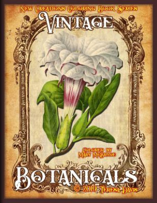Kniha New Creations Coloring Book Series: Vintage Botanicals Brad Davis