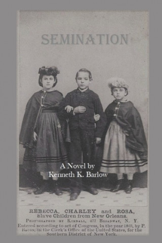 Knjiga Semination Kenneth K. Barlow
