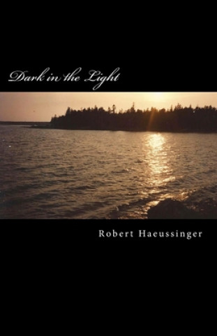 Книга Dark in the Light Robert W. Haeussinger