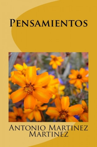 Buch Pensamientos Antonio Martinez Martinez