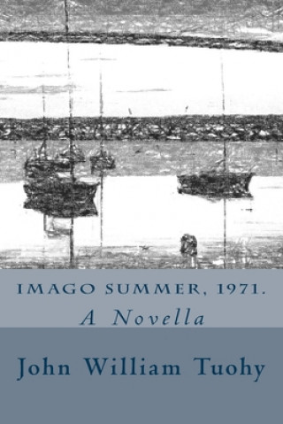 Kniha Imago summer, 1971.: A Novella John William Tuohy
