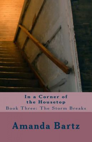 Könyv In a Corner of the Housetop: Book Three: The Storm Breaks Amanda Bartz