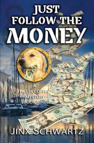 Buch Just Follow The Money Jinx Schwartz