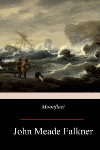 Knjiga Moonfleet John Meade Falkner