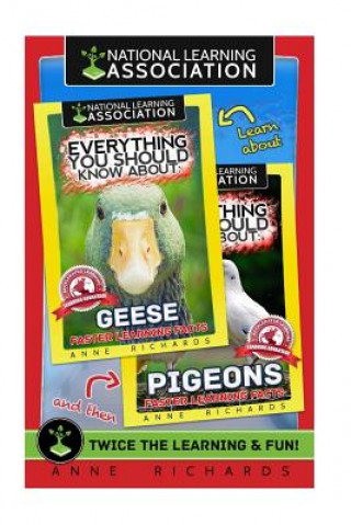Knjiga Everything You Should Know About: Geese and Pigeons Anne Richards