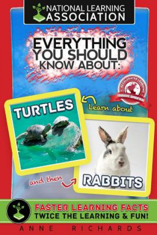 Kniha Everything You Should Know About: Turtles and Rabbits Anne Richards