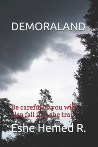 Buch Demoraland: Be careful or you will also fall into the trap Eshe Hemed R