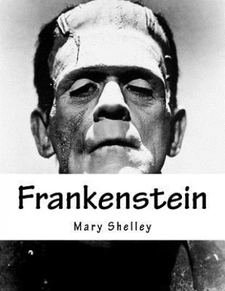 Livro Frankenstein Mary Shelley