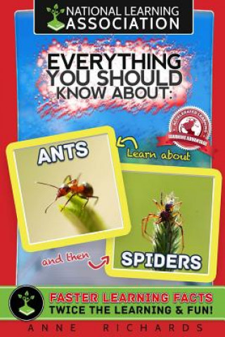 Kniha Everything You Should Know About: Ants and Spiders Anne Richards