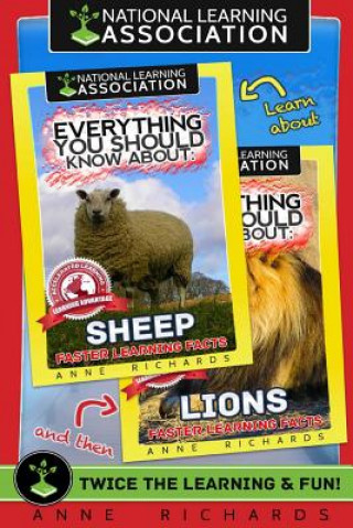 Книга Everything You Should Know About: Lions and Sheep Anne Richards