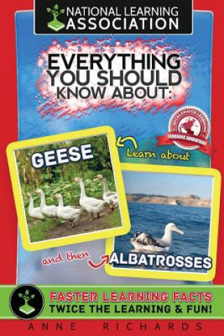 Carte Everything You Should Know About: Geese and Albatrosses Anne Richards